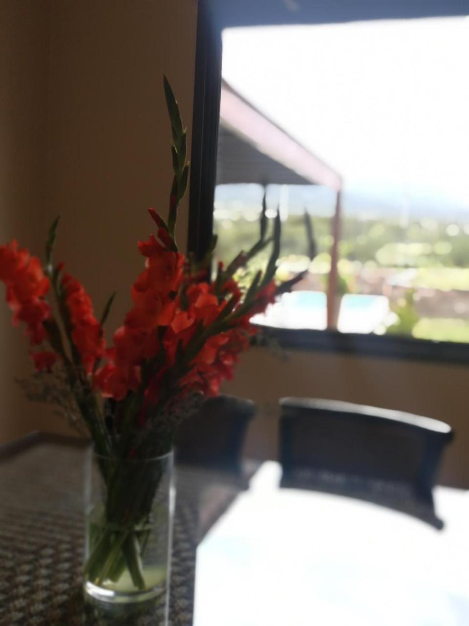 Сasa de vacaciones Eco Country Altos De La Crucesita *