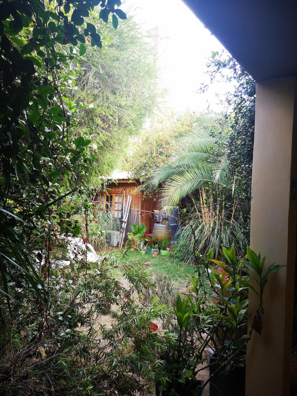 Sosahaus *