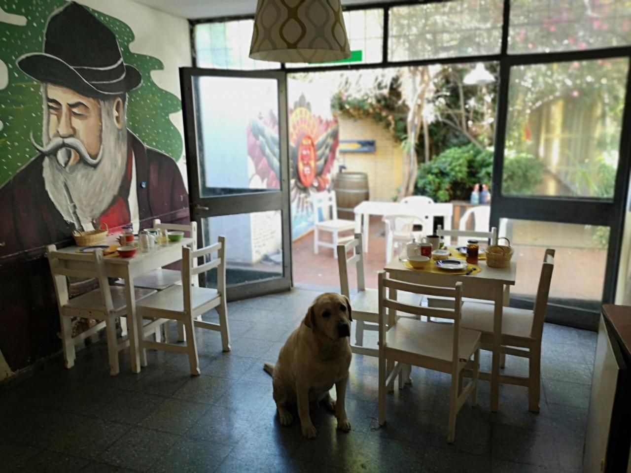 Sosahaus Hostal *