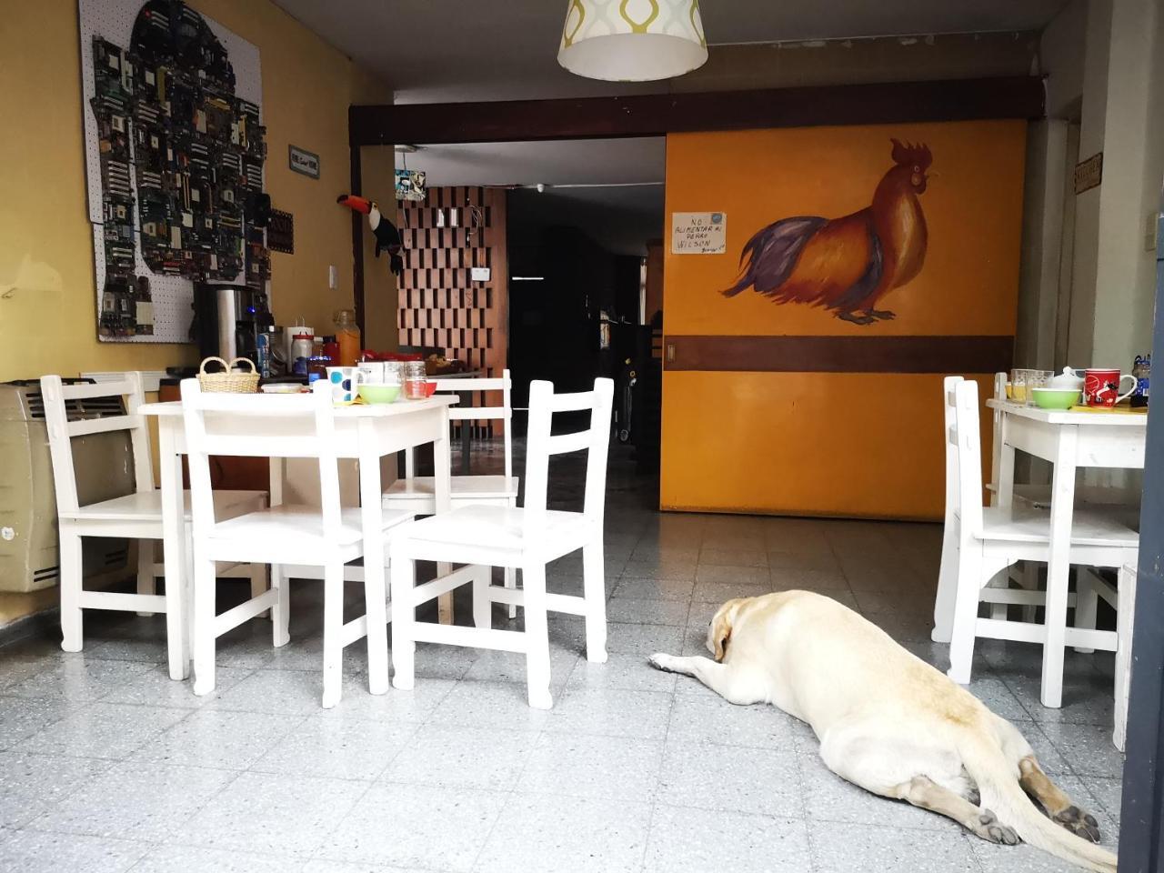 Sosahaus * Mendoza