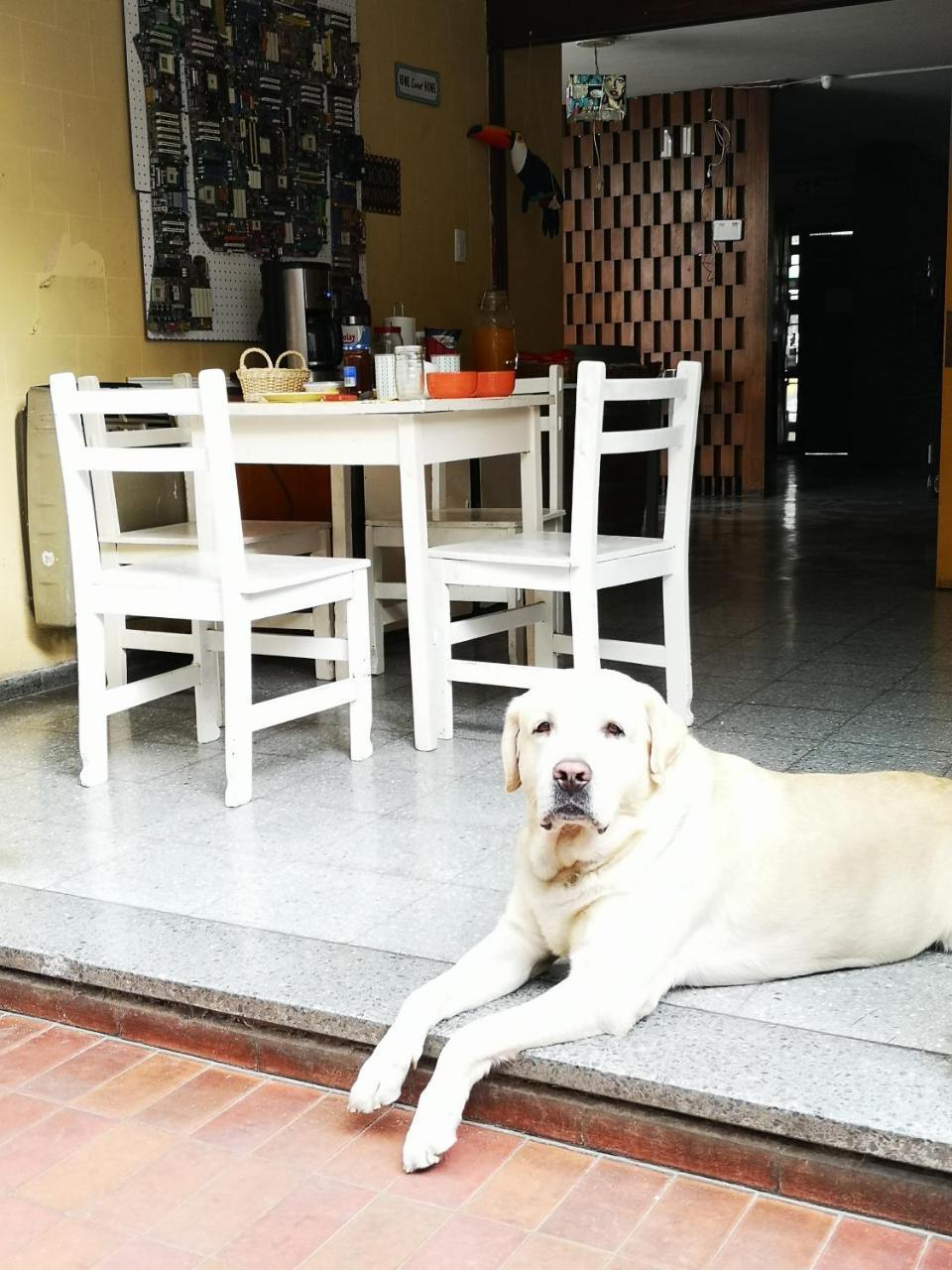 Sosahaus Hostal Mendoza