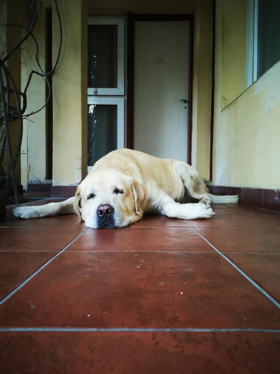 Sosahaus Hostal *