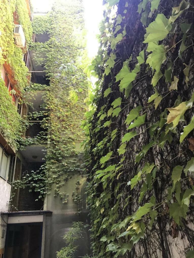 Apartamento Departamento De 2 Dormitorios, Excelente Ubicación Mendoza
