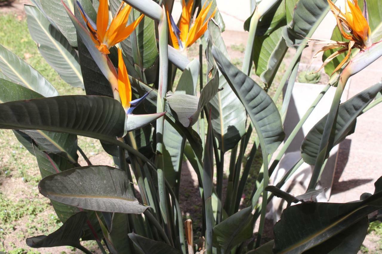 Un Jardín En La Ciudad Apartamento Mendoza