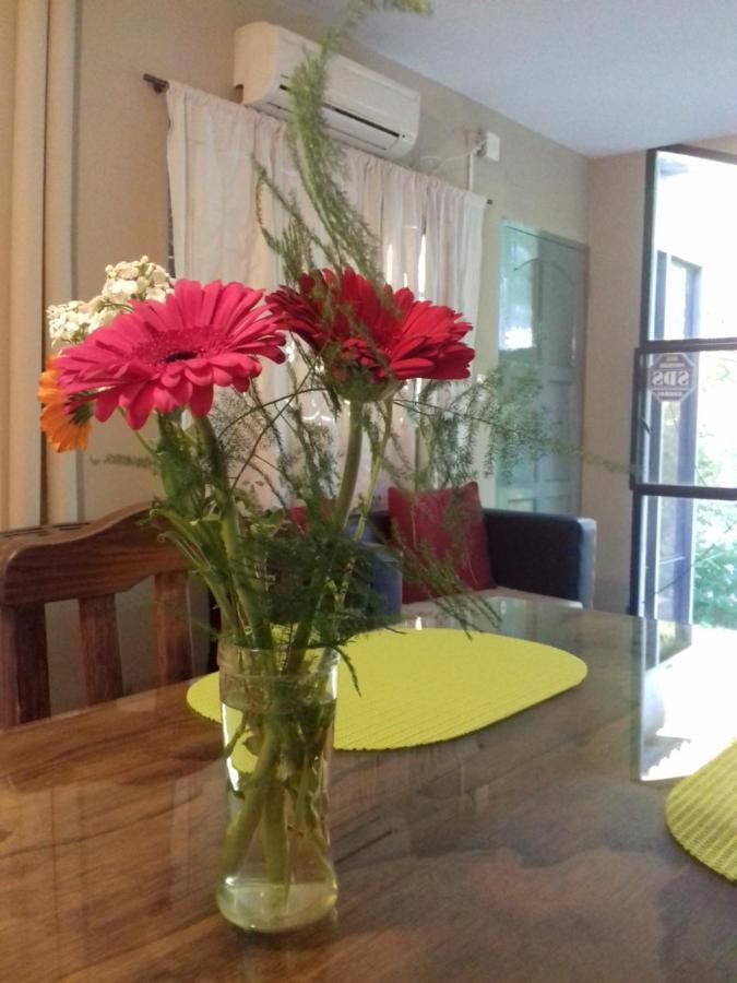 Apartamento Departamento Lemos 678 Mendoza