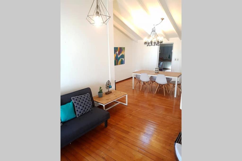 Big Beautiful House With Garden In 5ta Sección Neighbourhood Mendoza