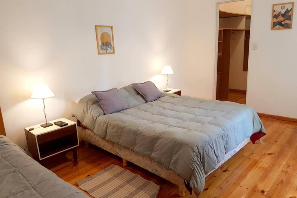Big Beautiful House With Garden In 5ta Sección Neighbourhood Сasa de vacaciones Mendoza