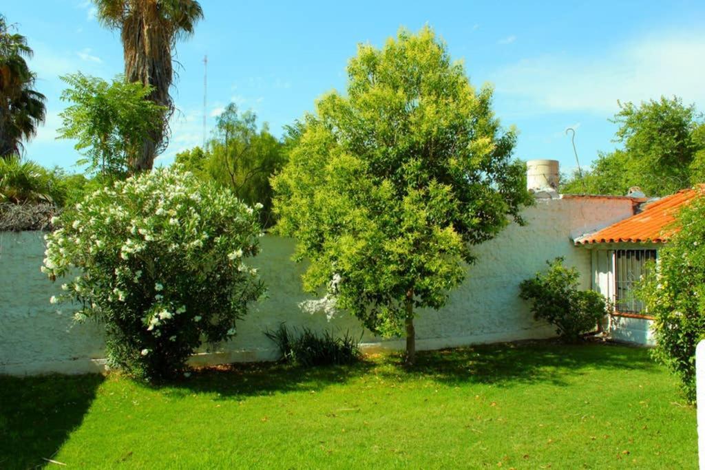 Сasa de vacaciones Big Beautiful House With Garden In 5ta Sección Neighbourhood