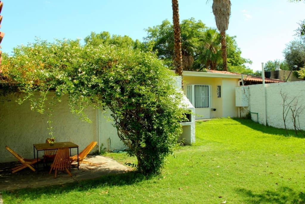 Big Beautiful House With Garden In 5ta Sección Neighbourhood * Mendoza
