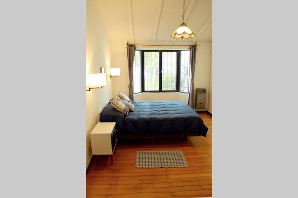 Big Beautiful House With Garden In 5ta Sección Neighbourhood Сasa de vacaciones Mendoza