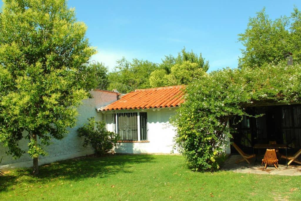 Big Beautiful House With Garden In 5ta Sección Neighbourhood * Mendoza