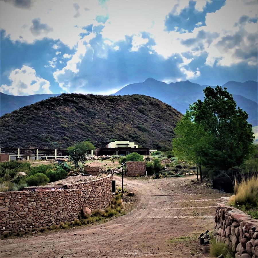 Premium Mendoza