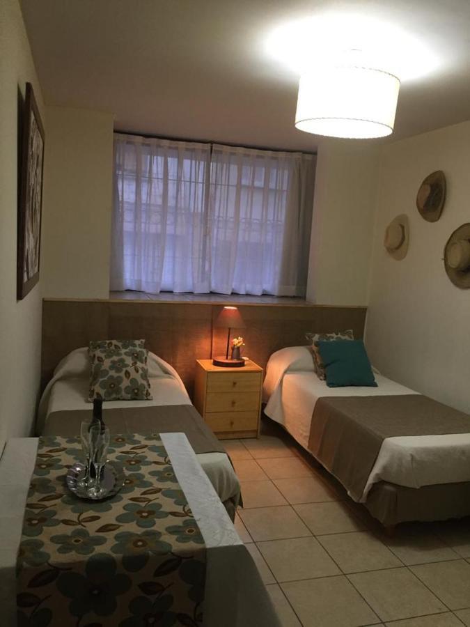 Apartamento Acogedor Monoambiente , En El Centro De . Mendoza
