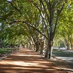 Oasis En La Mejor Zona De Mendoza