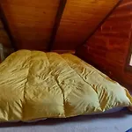 Cabana De Troncos En Colonia Suiza