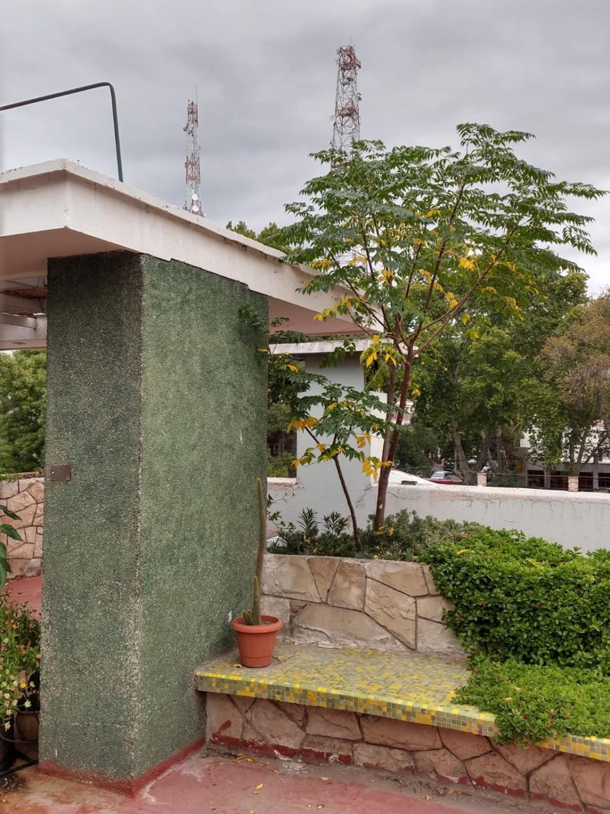 Homestay Con Bano Compartido En Departamento Mid Century Modern