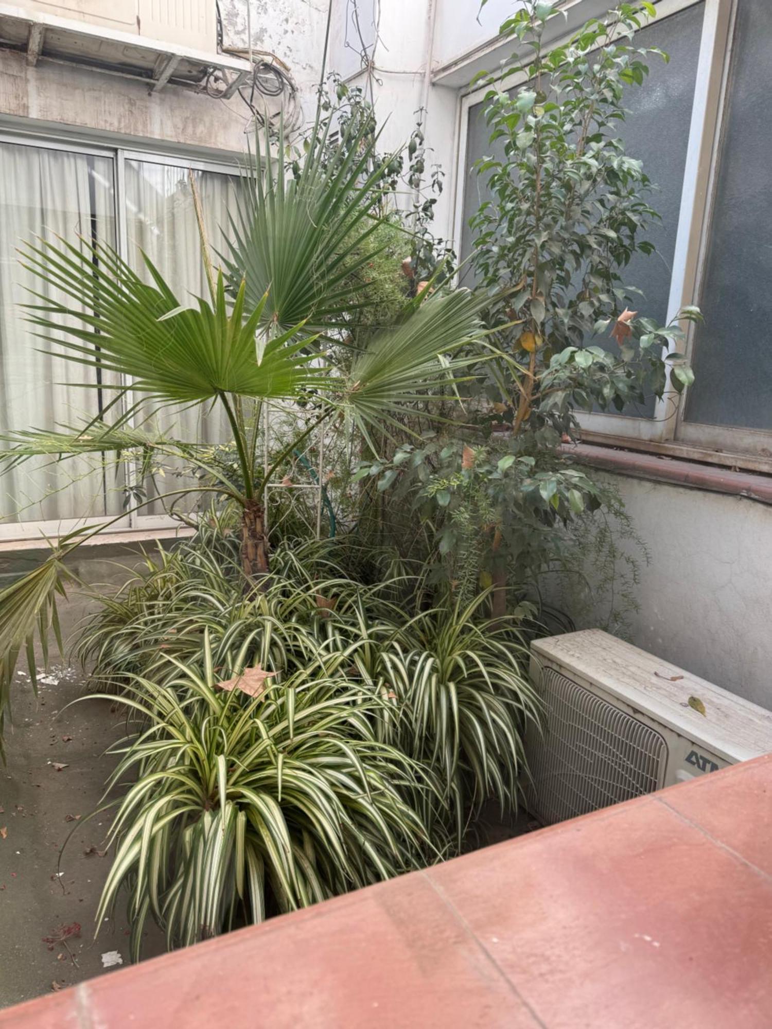 Apartamento Hermoso Dpto Centrico