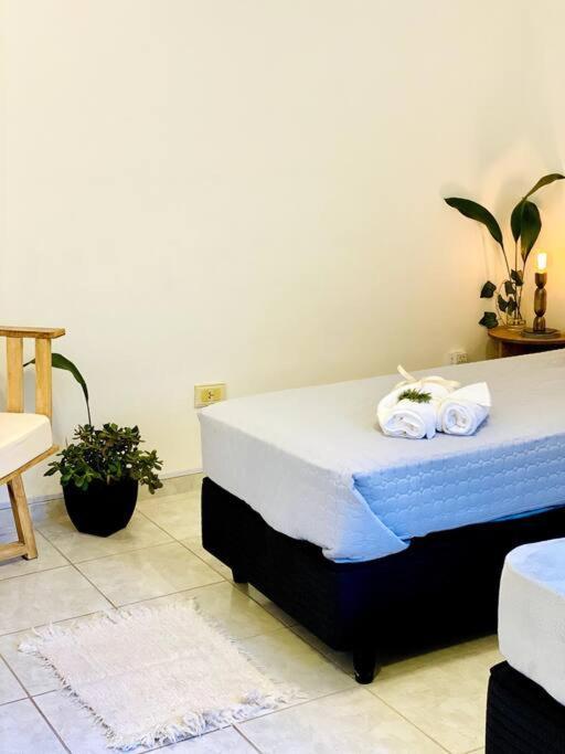 Oasis En La Mejor Zona De Apartamento *