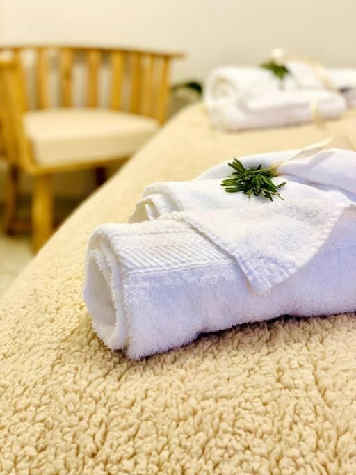 Apartamento Oasis En La Mejor Zona De Mendoza