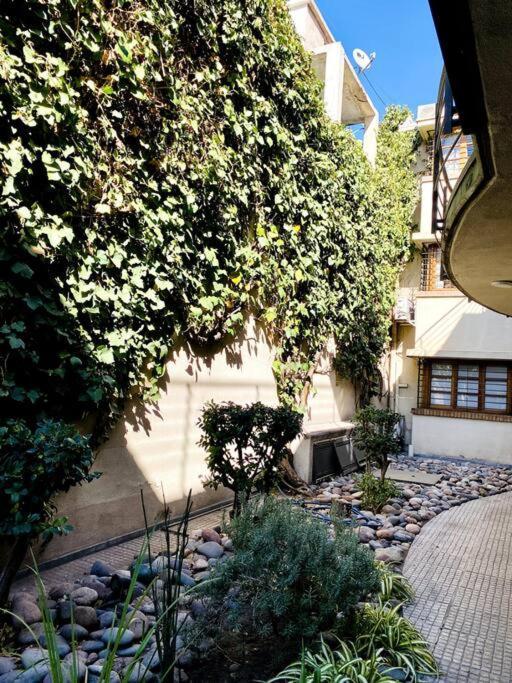 Oasis En La Mejor Zona De Apartamento