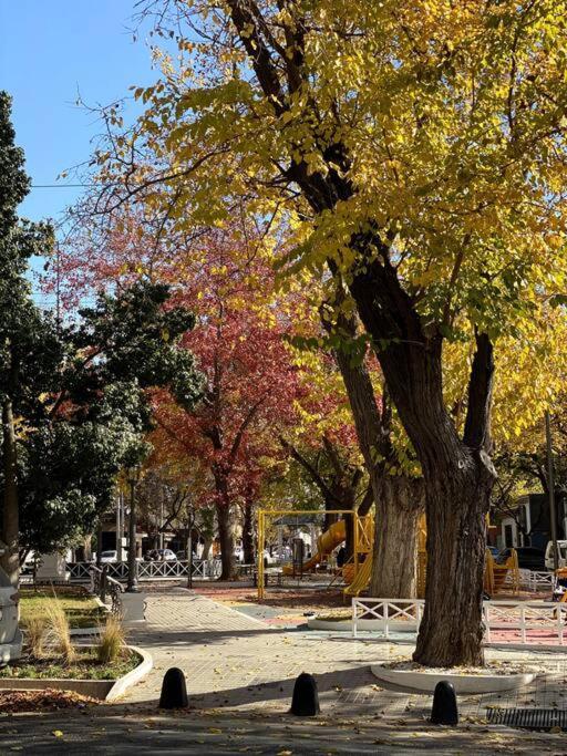 Oasis En La Mejor Zona De Apartamento Mendoza