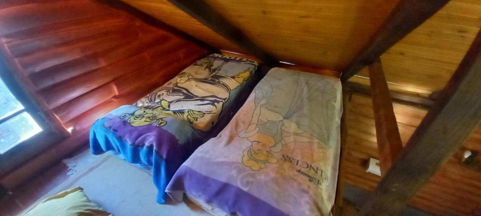 Cabana De Troncos En Colonia Suiza *