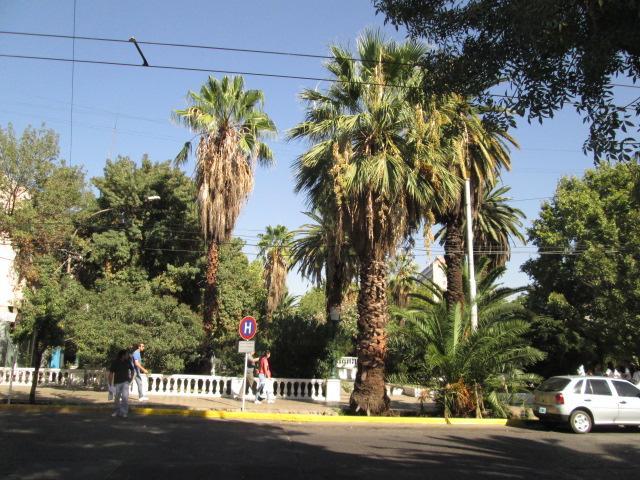 Hotel Galicia *