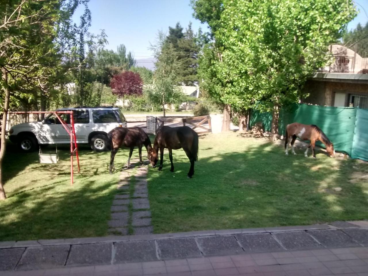 Casa De Montaña, Valle Del Sol, Potrerillos, Chalet Mendoza