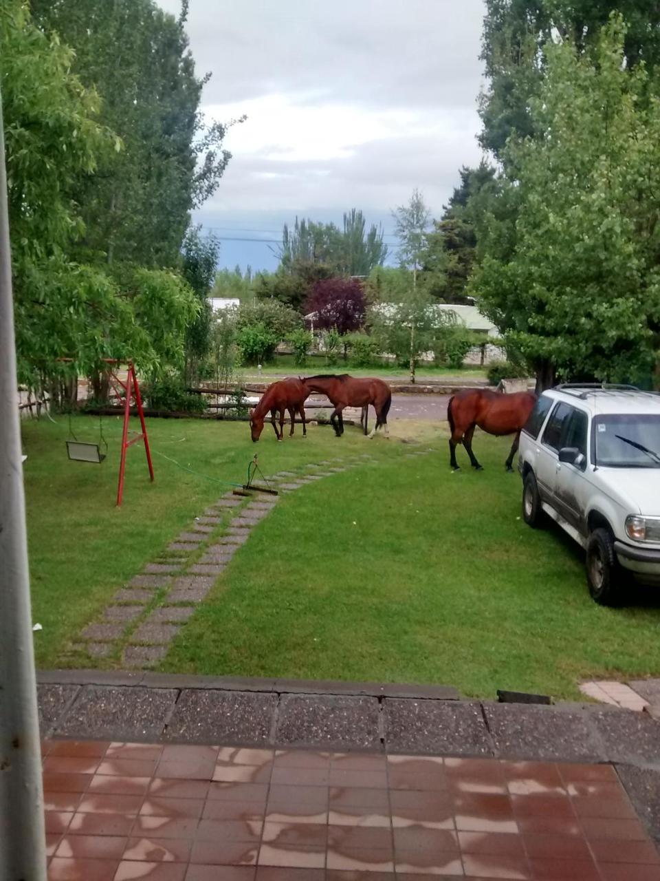 Chalet Casa De Montaña, Valle Del Sol, Potrerillos, Mendoza